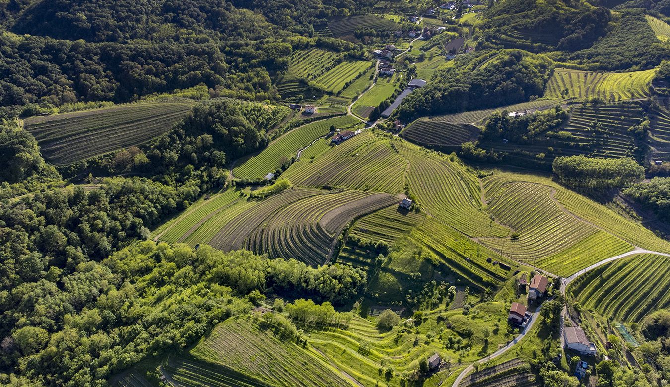 Vinogradi nad Prvačino, pogled iz ptičje perspektive