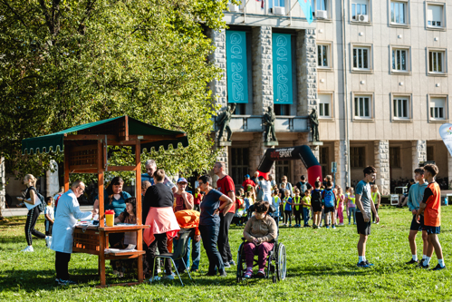 Stojnica na travniku