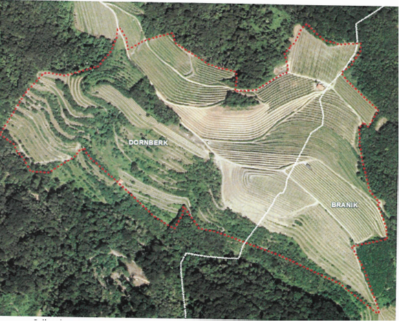 Prikaz komasacijskega območja Kamnovec